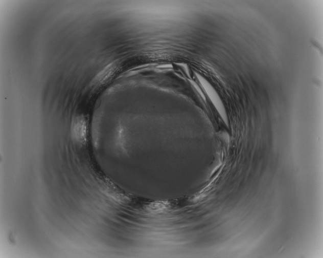 X0000096380124200802141440