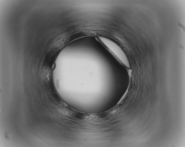 X0000096380125200802141440