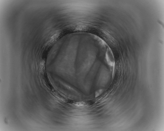 X0000096380127200802141440