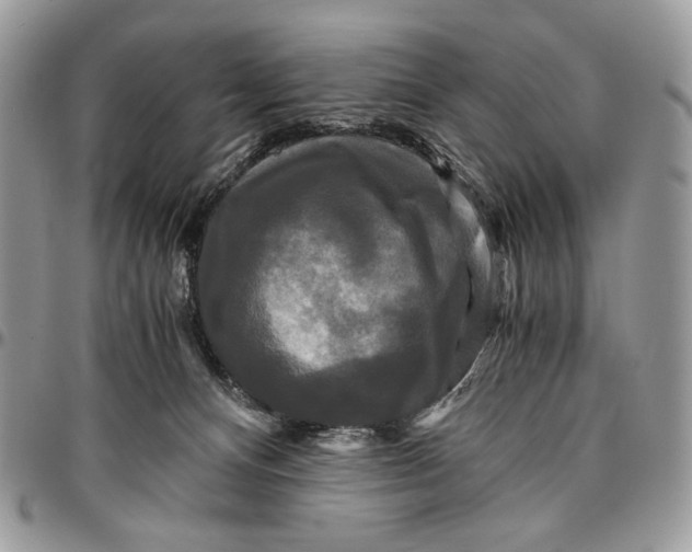 X0000096380128200802141440