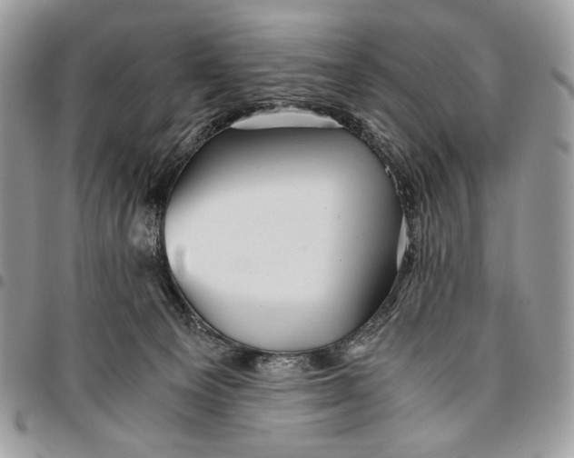 X0000096380129200802141440