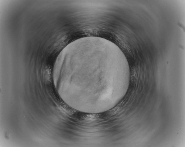 X0000096380130200802141440