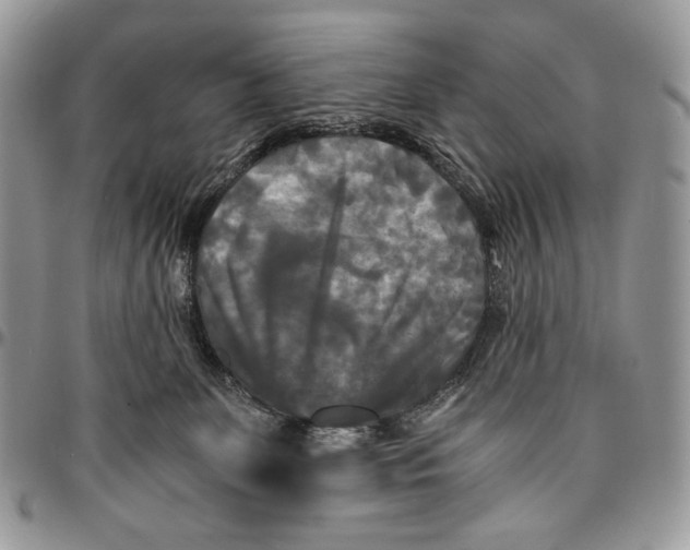 X0000096380131200802141440