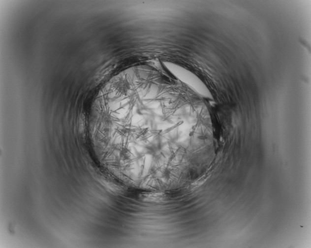 X0000096380132200802141440