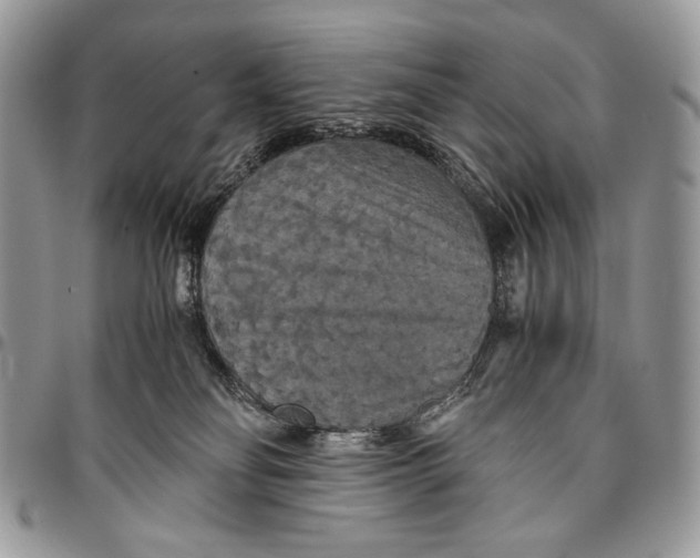 X0000096380134200802141440