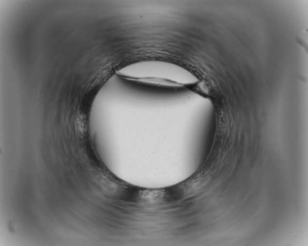 X0000096380135200802141440