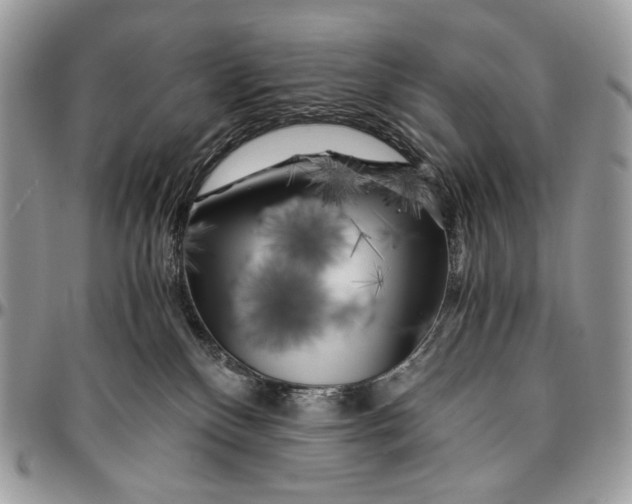 X0000096380136200802141440