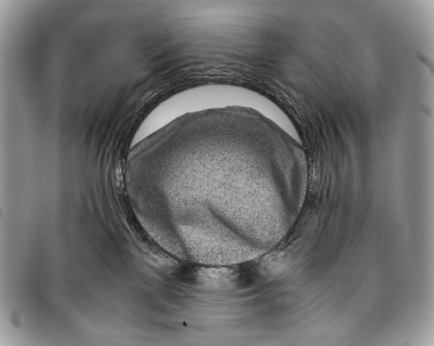 X0000096380137200802141440