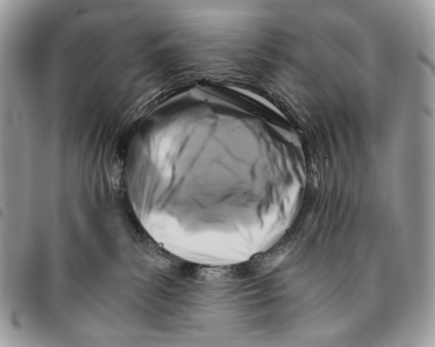 X0000096380139200802141440