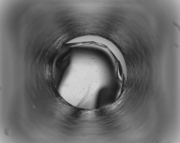 X0000096380140200802141440