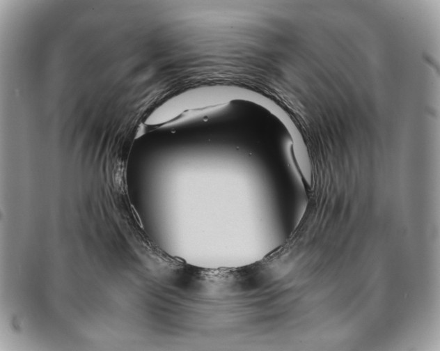 X0000096380141200802141440