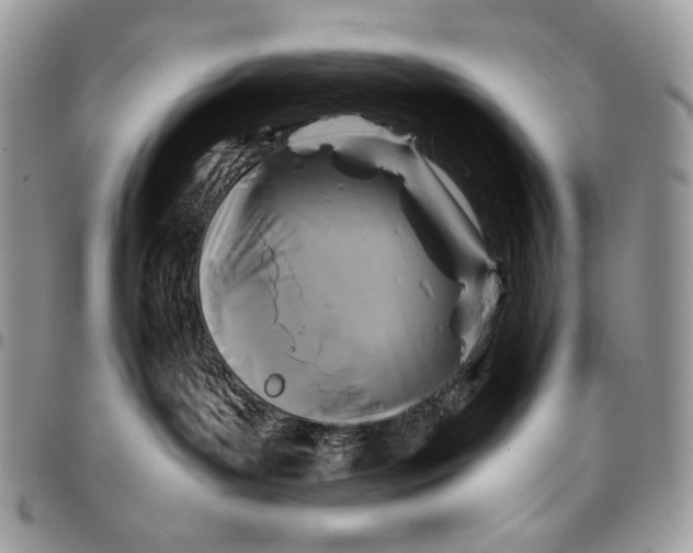 X0000096380143200802141440