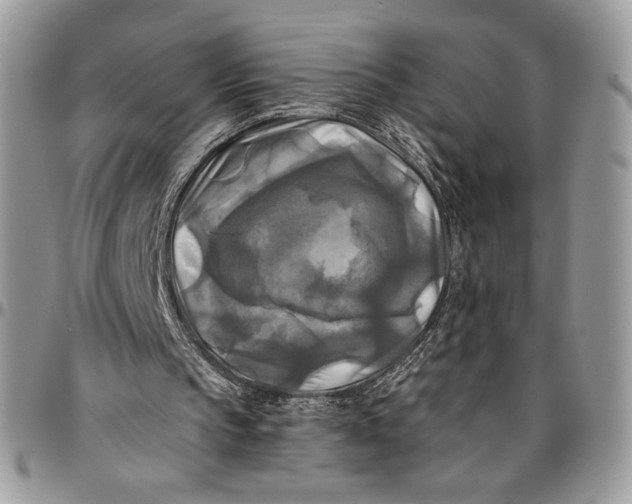 X0000096380145200802141439