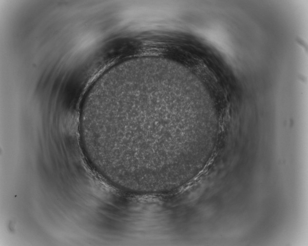 X0000096380146200802141439