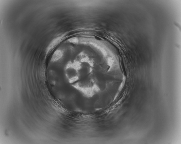 X0000096380149200802141439