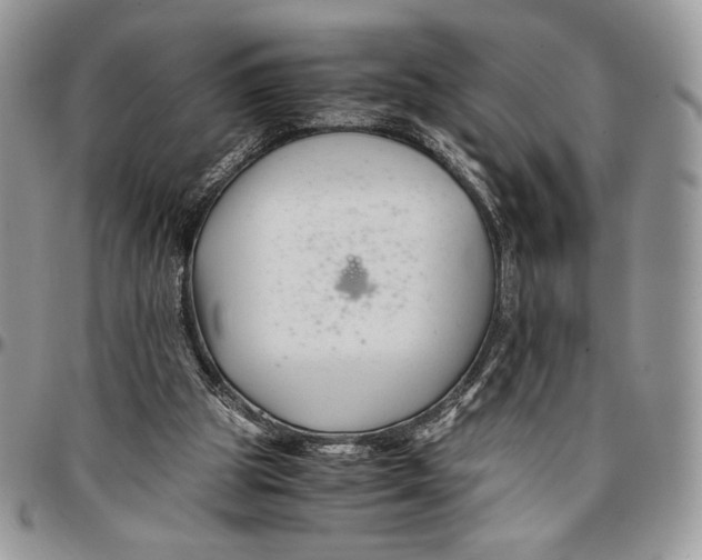 X0000096380153200802141439