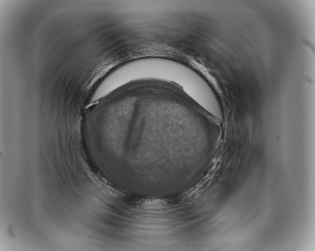 X0000096380154200802141439