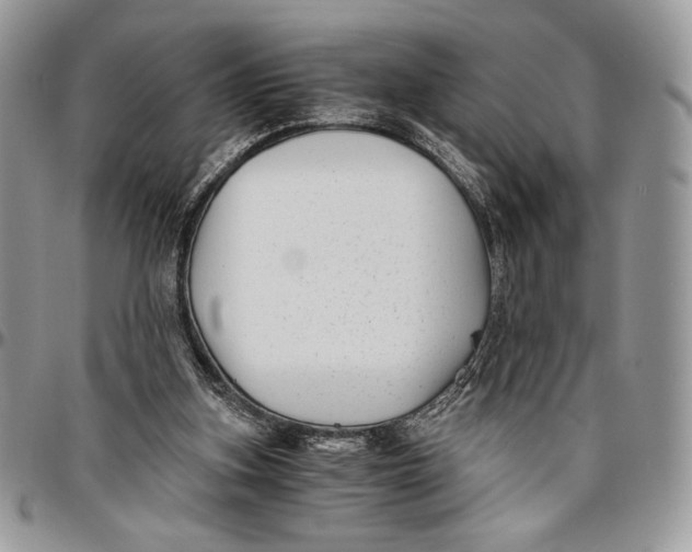 X0000096380155200802141439