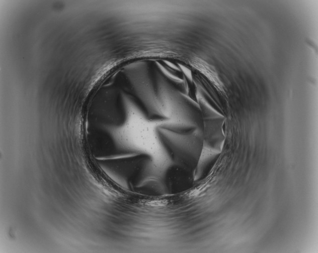 X0000096380156200802141439