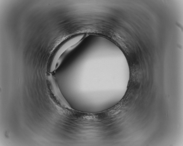 X0000096380160200802141439