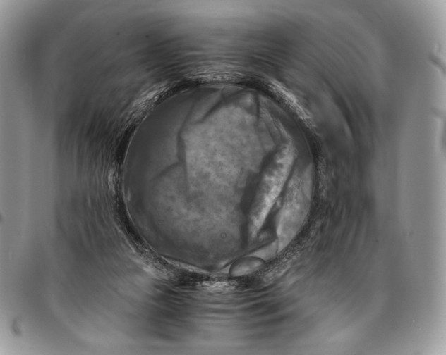 X0000096380161200802141439