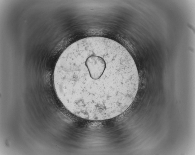 X0000096380162200802141439