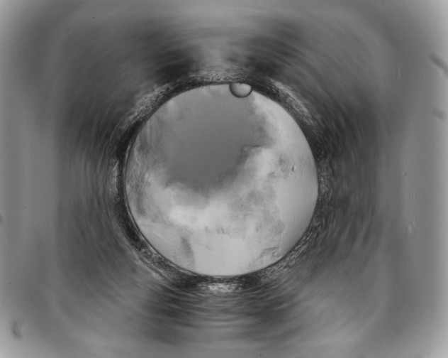 X0000096380163200802141439