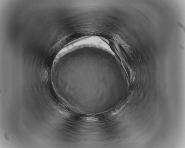 X0000096380165200802141439