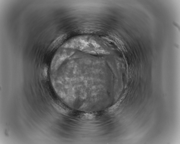 X0000096380166200802141439