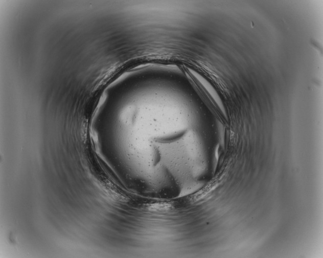 X0000096380168200802141439