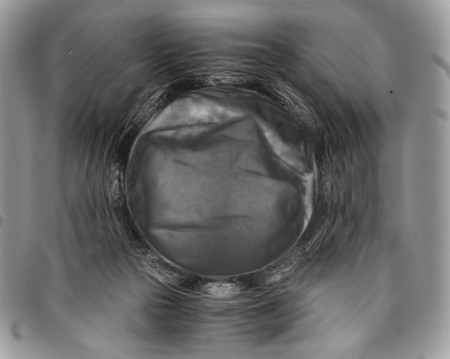 X0000096380169200802141439