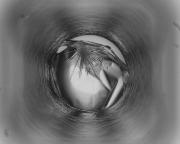 X0000096380170200802141439