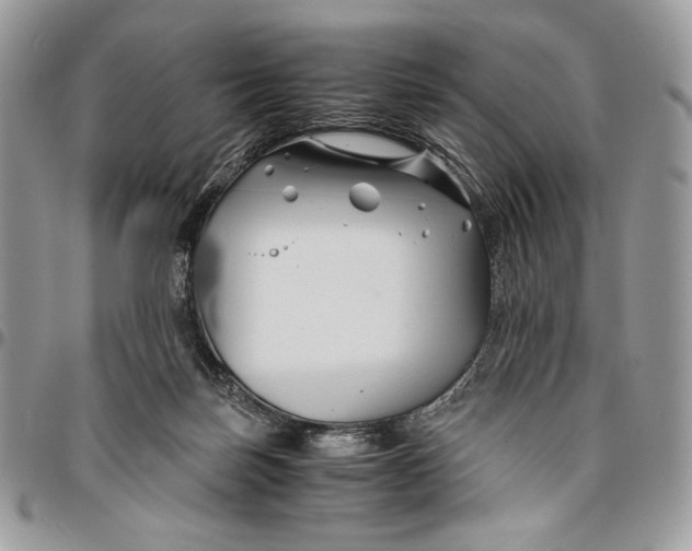 X0000096380171200802141439