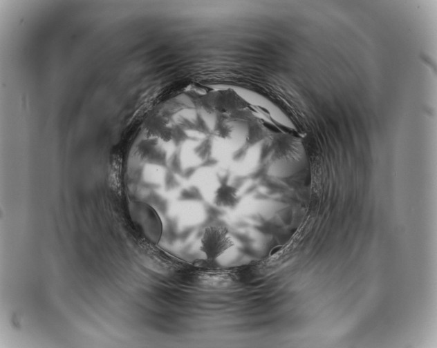 X0000096380175200802141440