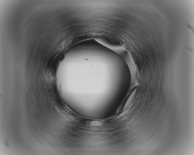 X0000096380176200802141440