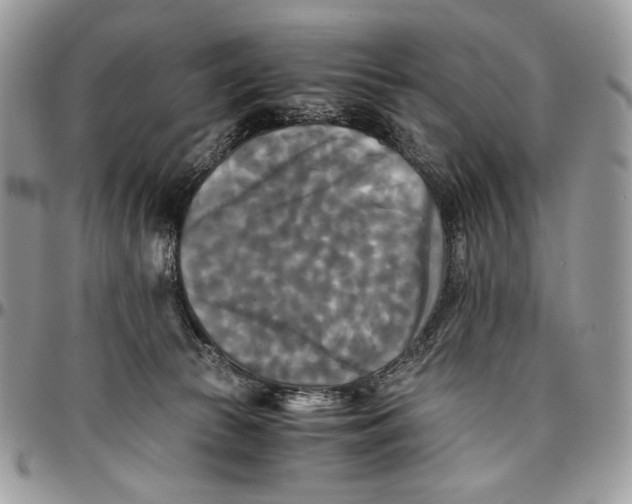 X0000096380177200802141440