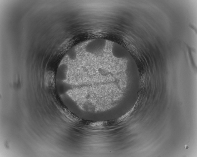 X0000096380178200802141440