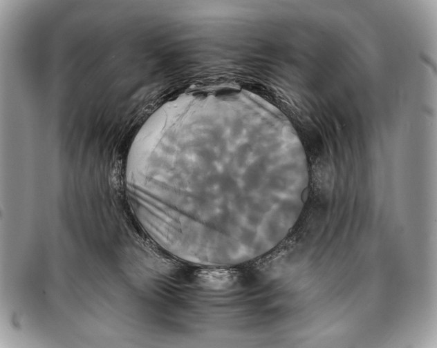 X0000096380181200802141440