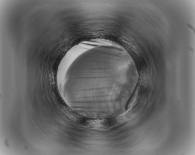 X0000096380182200802141440