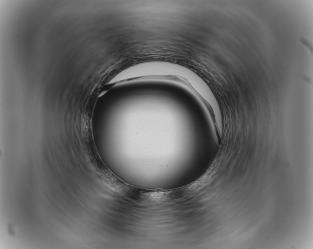 X0000096380184200802141440