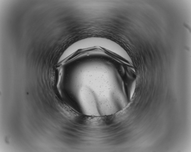 X0000096380186200802141440