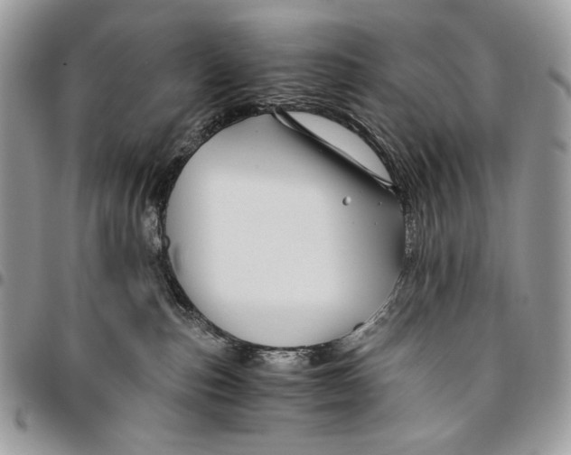 X0000096380187200802141440