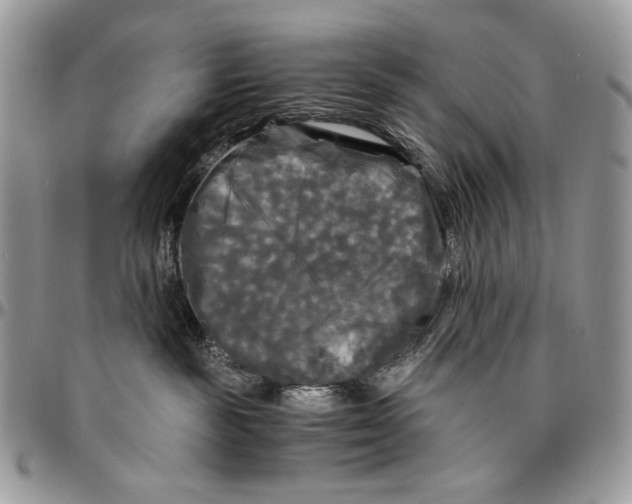 X0000096380189200802141440