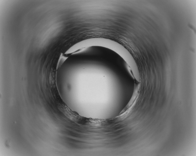 X0000096380190200802141440