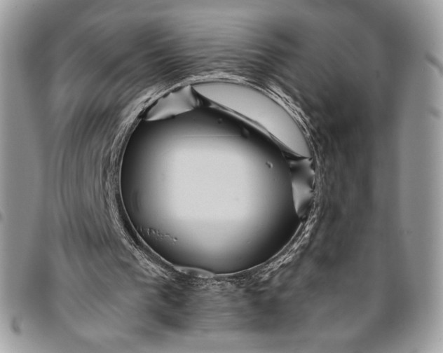 X0000096380193200802141439