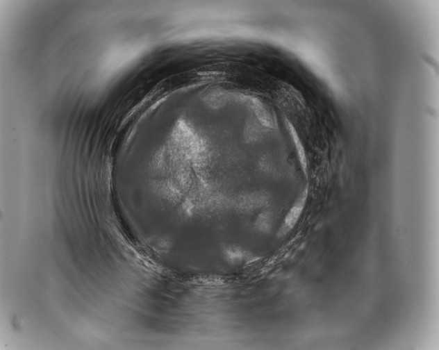 X0000096380194200802141439