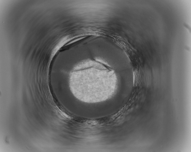 X0000096380195200802141439