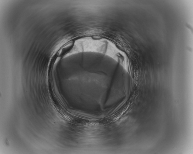 X0000096380196200802141439