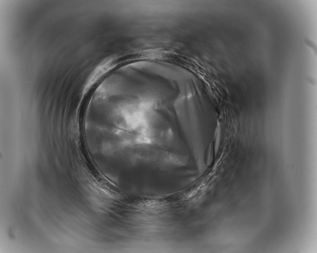 X0000096380198200802141439