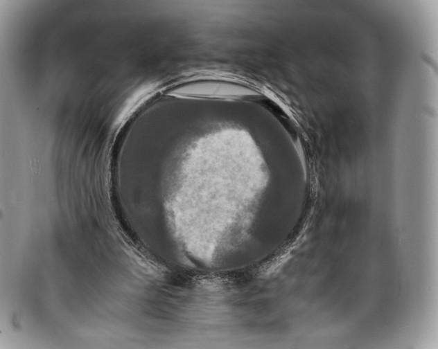 X0000096380199200802141439